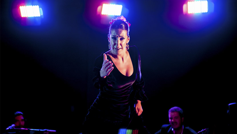 Flamenco 340 Festival Rodalquilar