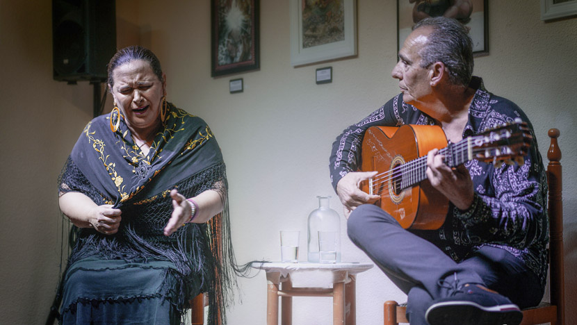 De flamencos nómadas