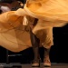 Flamenco con dinero público versus flamenco con dinero privado